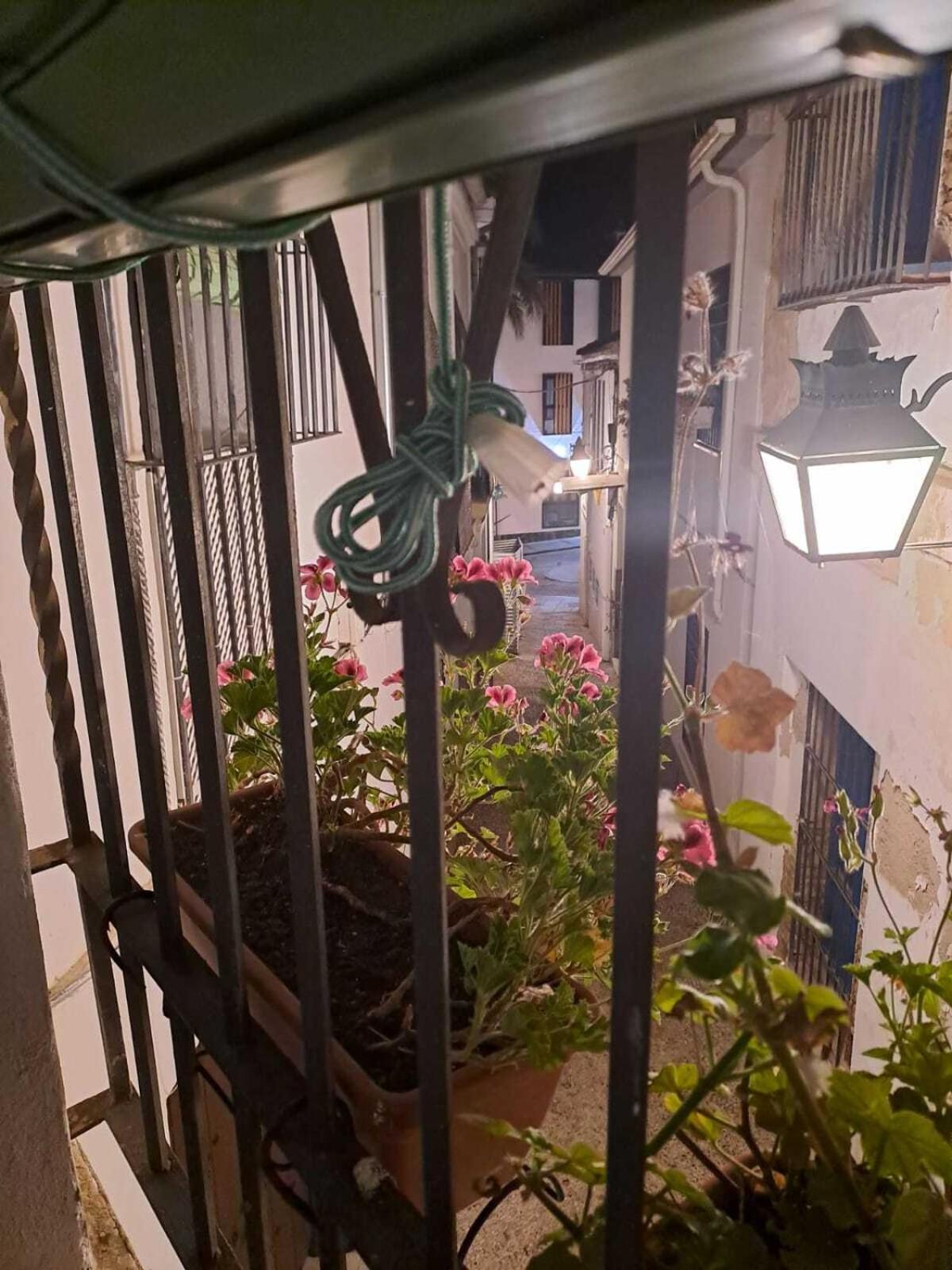 Calleja La Pimentera Cordoba Dış mekan fotoğraf